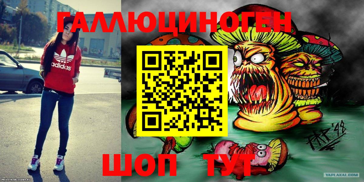 Искитим  как найти   Вход с VPN  Галлюциногенные грибы Psilocybine cubensis 