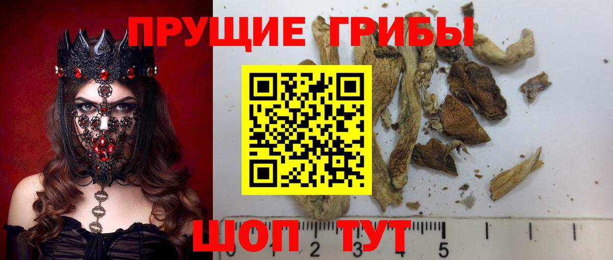 Галлюциногенные грибы Magic Shrooms Искитим