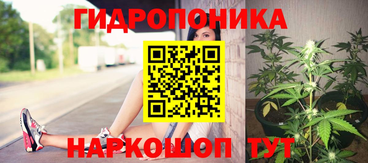 Бошки Шишки марихуана Искитим